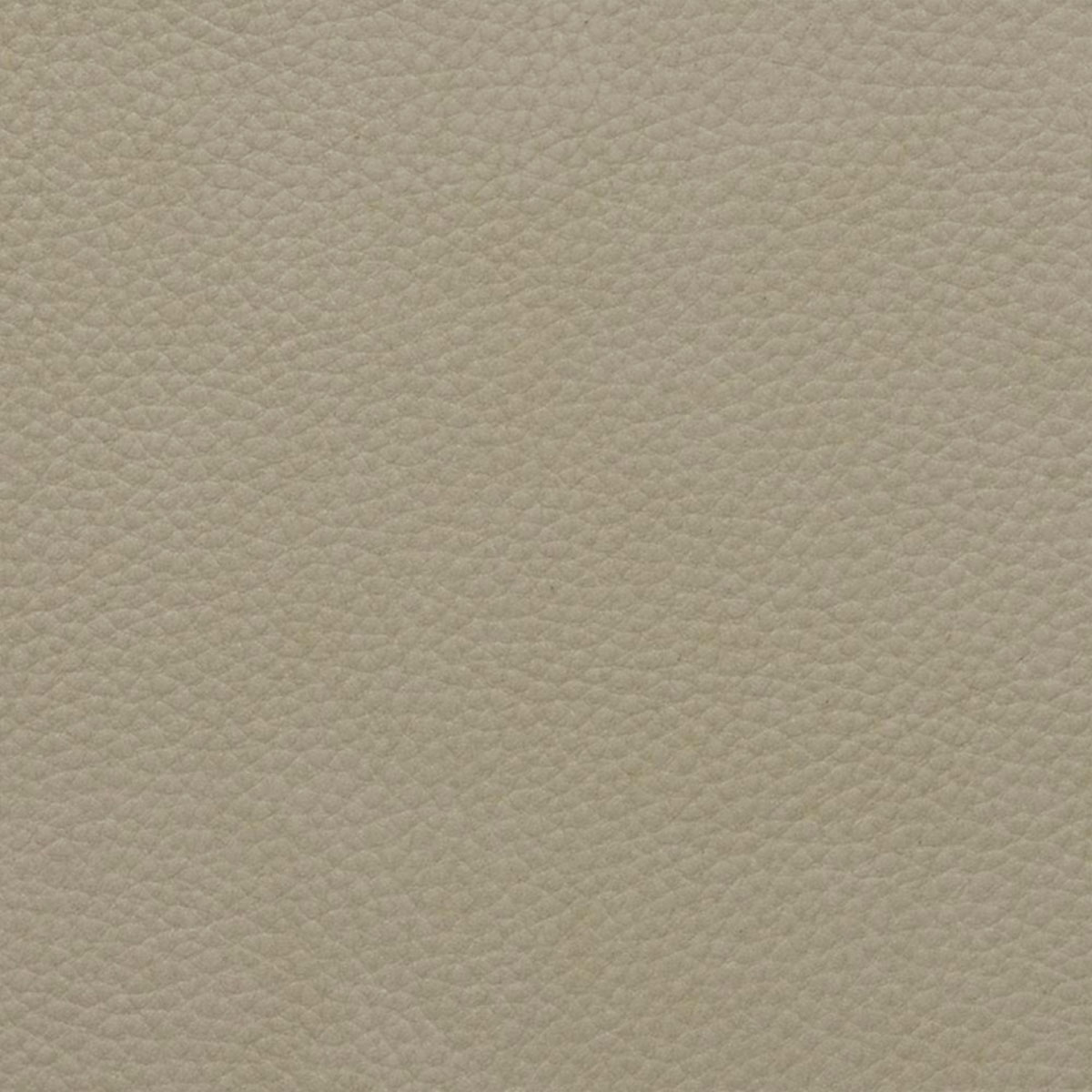 Columbia Ivory Columbia Ivory