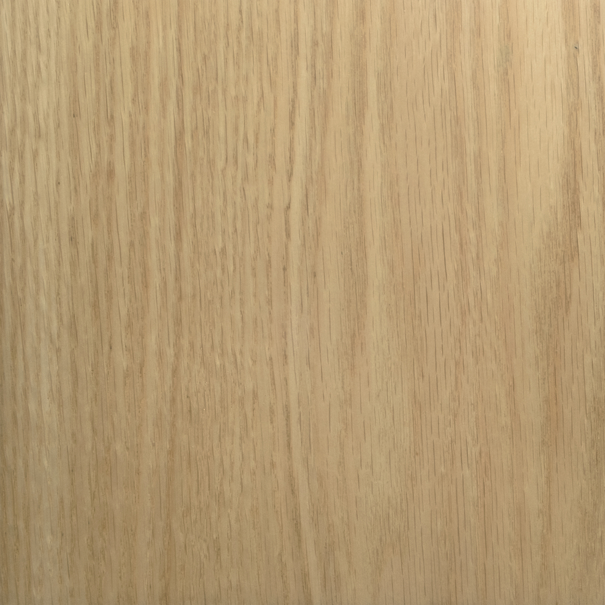Oak wood Oak wood sample highlighting the wood grain