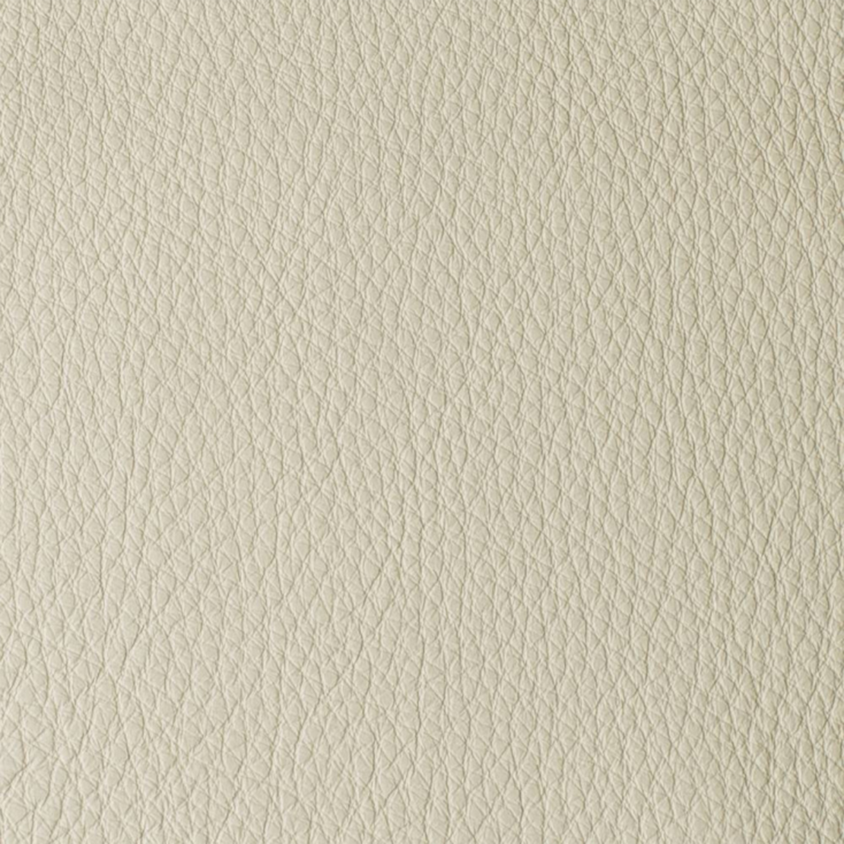Atlantida Gardenia Atlantida Gardenia