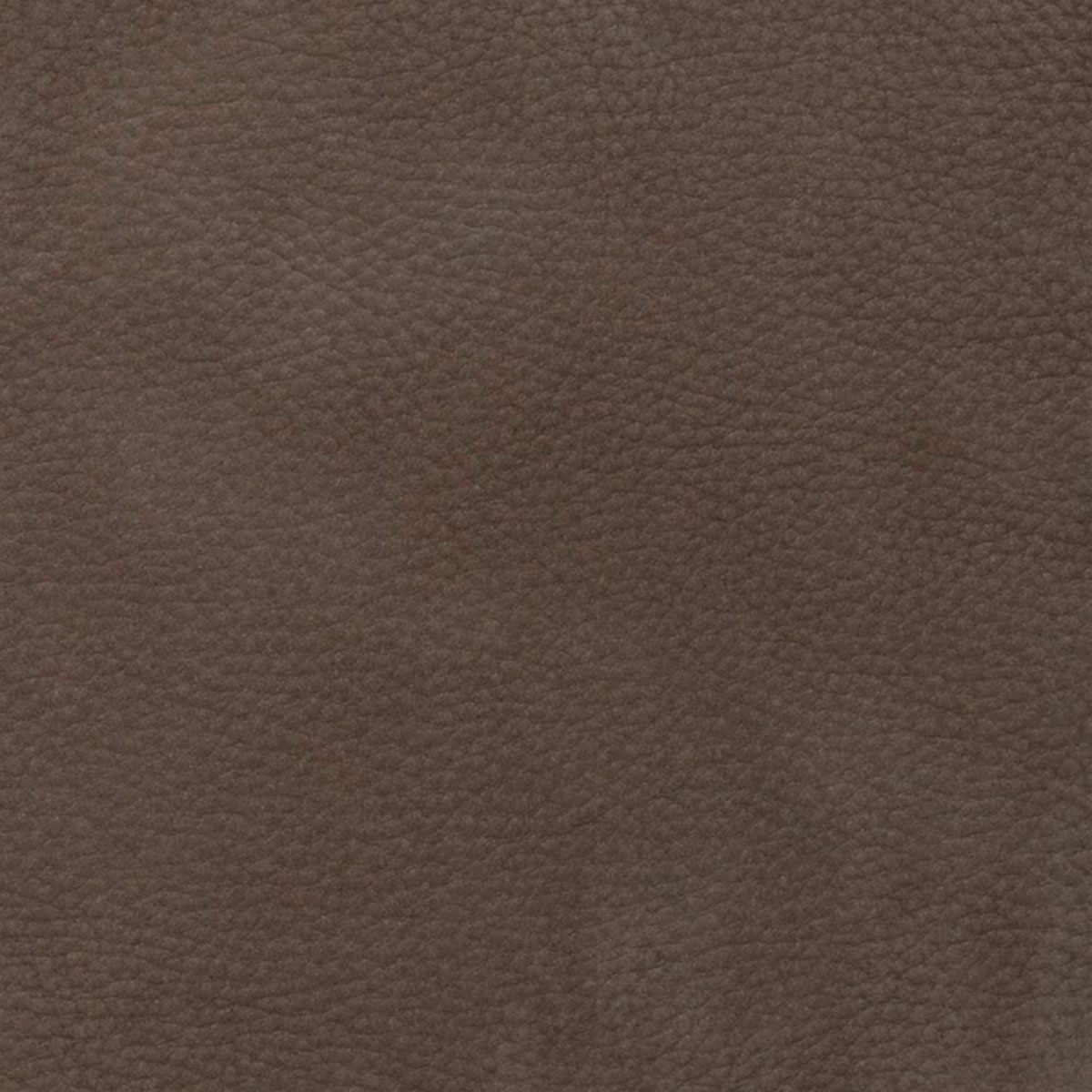 Columbia Taupe Columbia Taupe