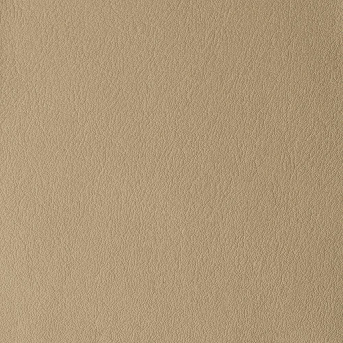 Laguna Taupe Laguna Taupe