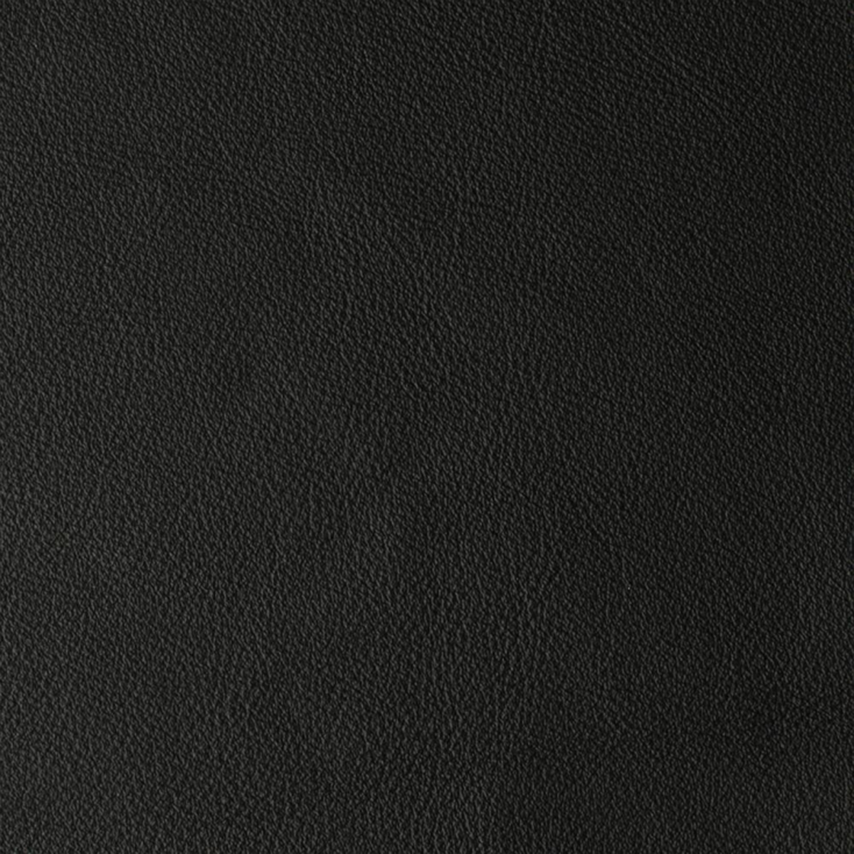 Laguna Black Laguna Black