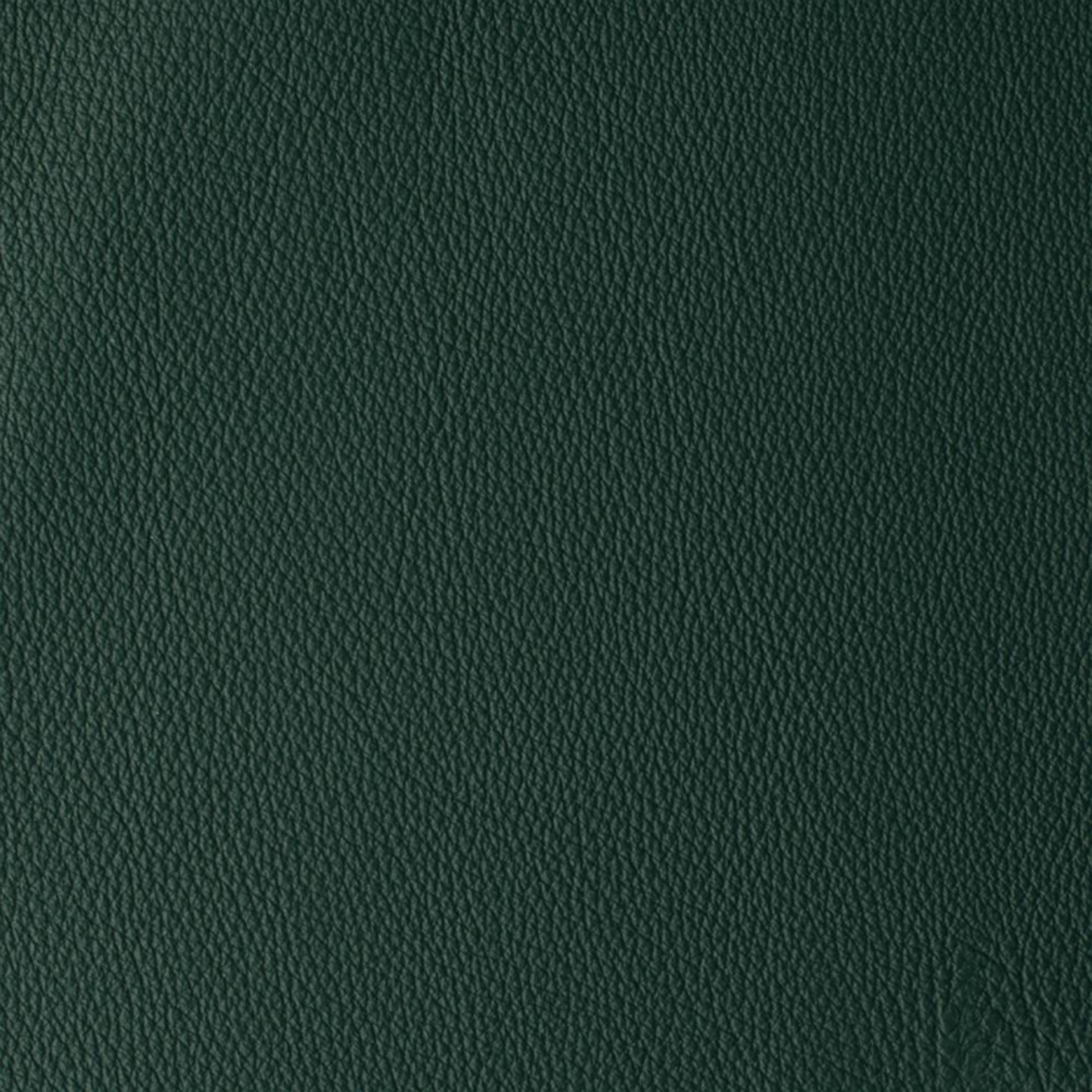 Atlantida Dark Green Atlantida Dark Green