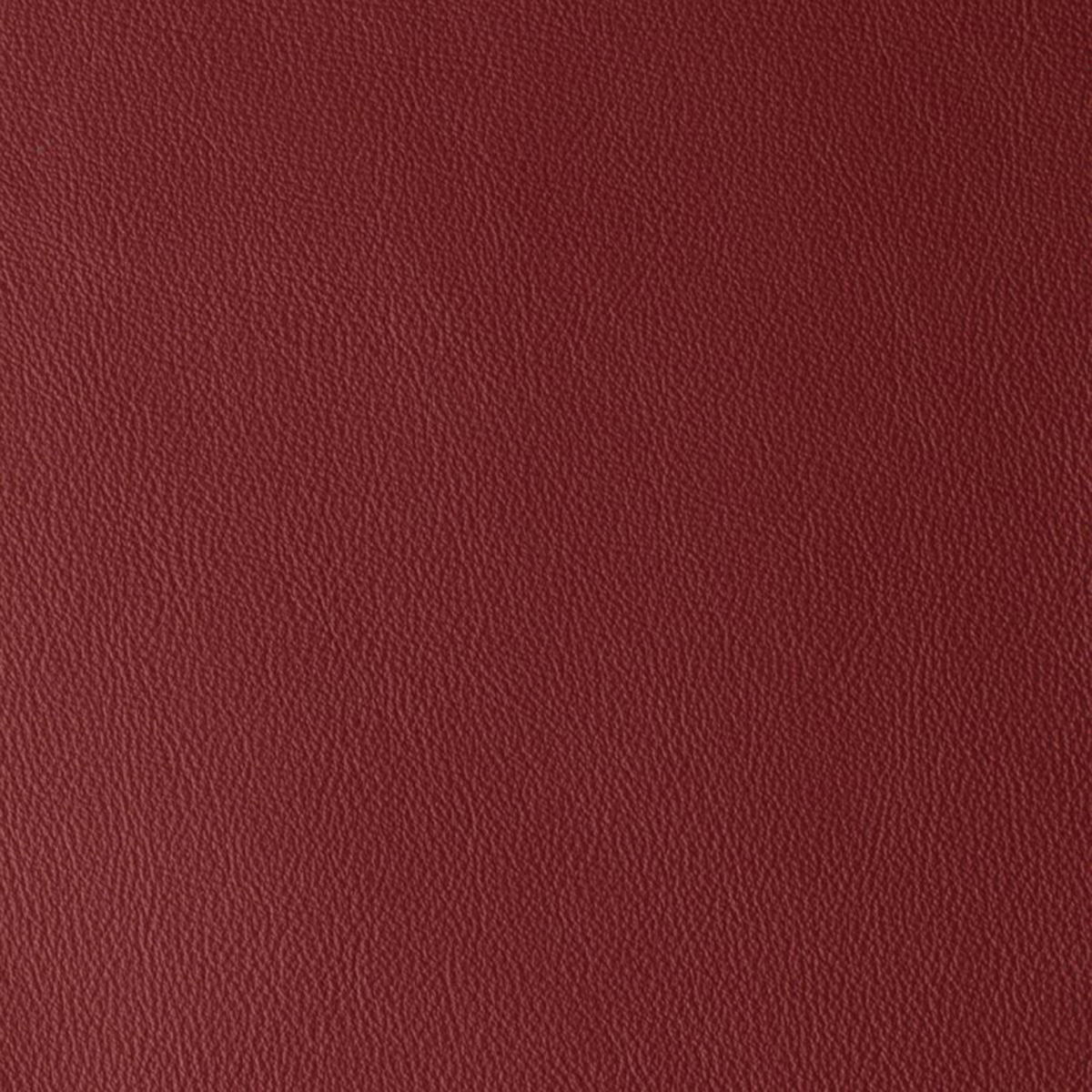 Laguna Cherry Laguna Cherry