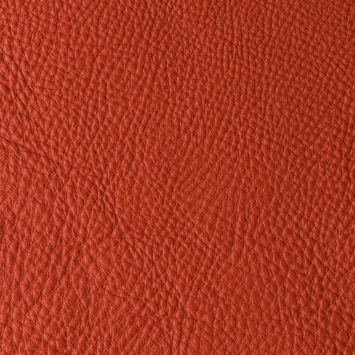 Atlantida Masai Atlantida Masai