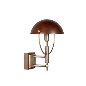 Side profile view of the Faraday Wall Lamp by Wood Tailors Club a, featuring standard aged brushed brass hardware and a smoked walnut domed shade.