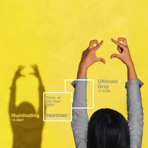 Pantone 2021-Illuminating Ultimate Gray- wtc