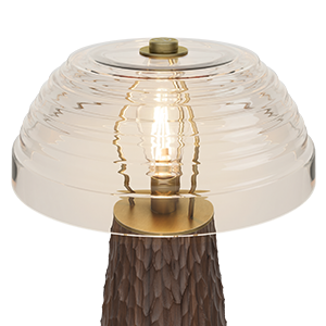 Close up of Lloyd I Table Lamp's extra clear glass shade