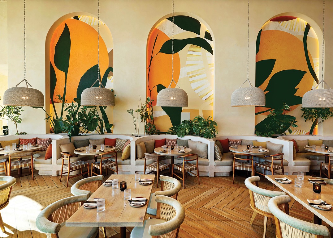 Projects planta restaurant 1 Dining area at Planta restaurant with varied seating arrangements, featuring the George Dining Chair in oak with natural rattan.